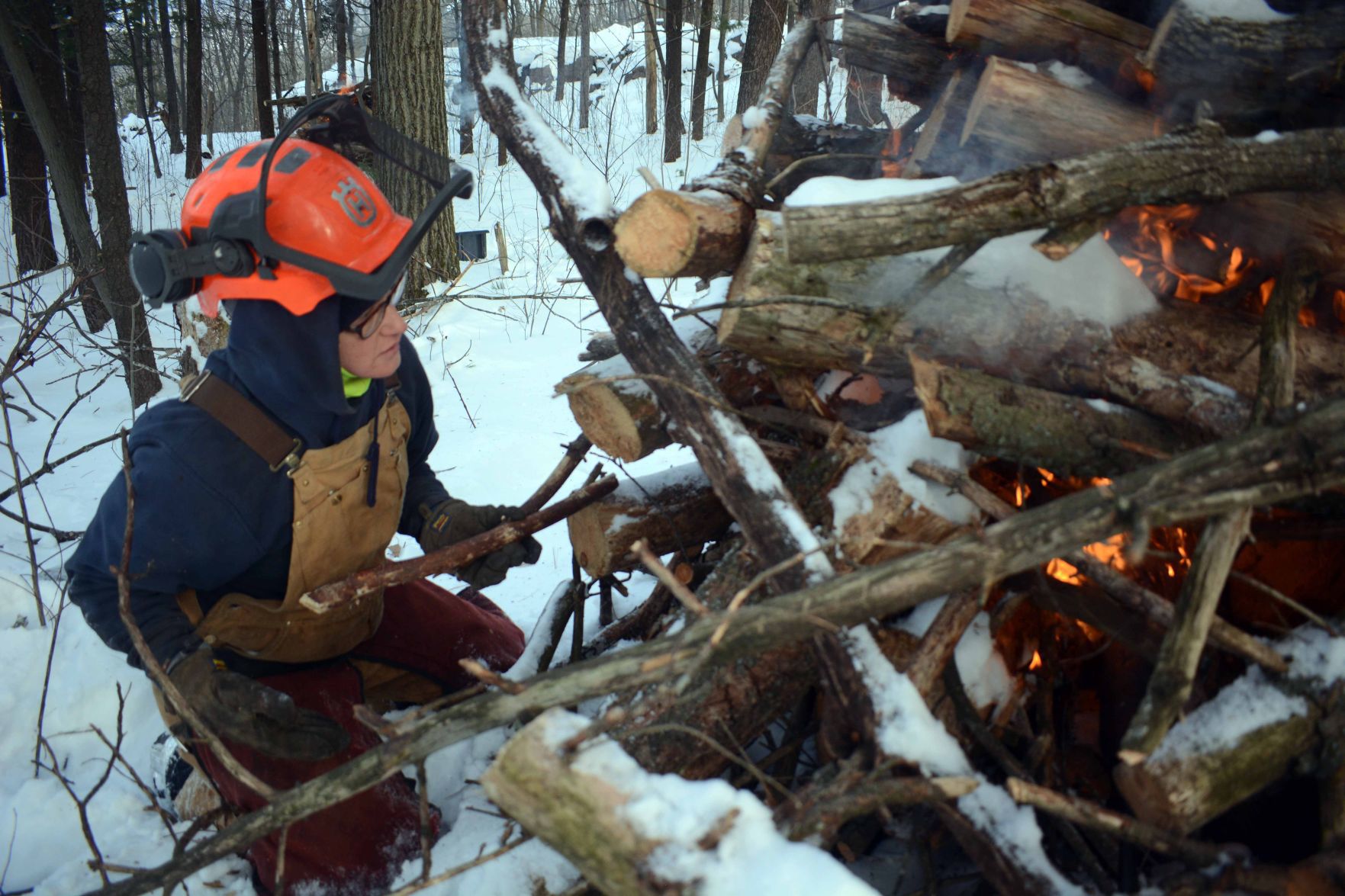 Devil's Lake east bluff stewardship work